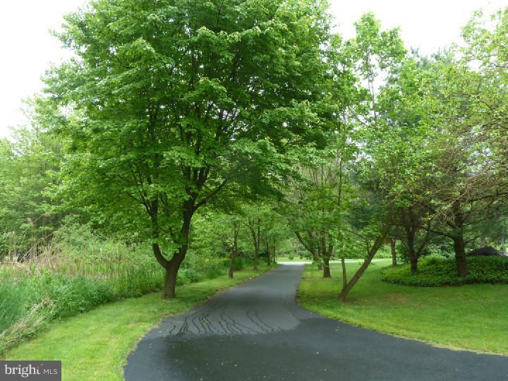 8 Blakely Road Downingtown, PA 19335 - Photo 4 of 21 Front Yard