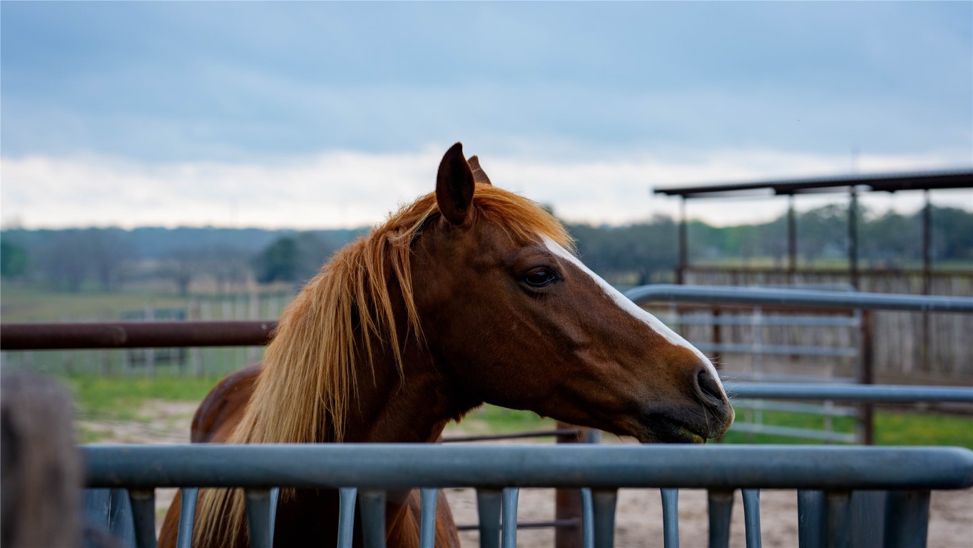 0 Wolters Road Schulenburg, TX 78956 - Photo 26 of 36