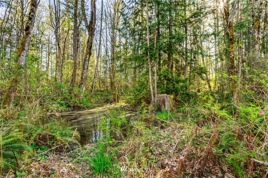 4783 Mission Road Bellingham, WA 98226 - Photo 32 of 40