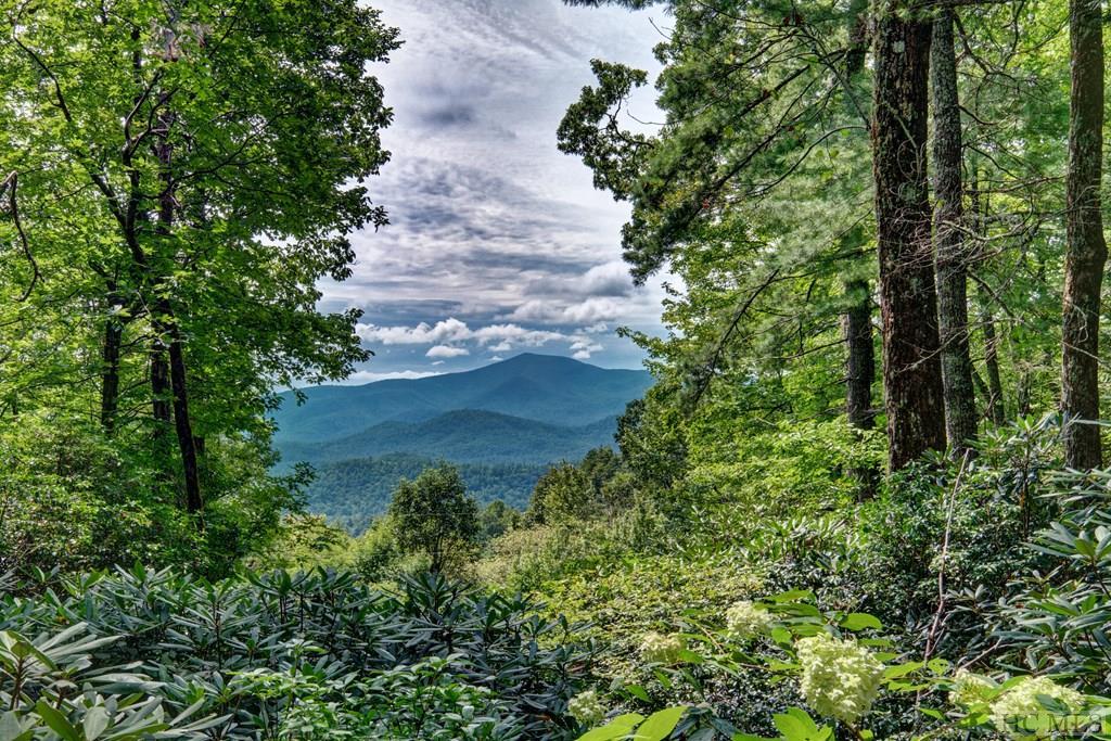 239 Clear Creek Road Highlands, NC 28741 - Photo 1 of 27 Gallery Image 1