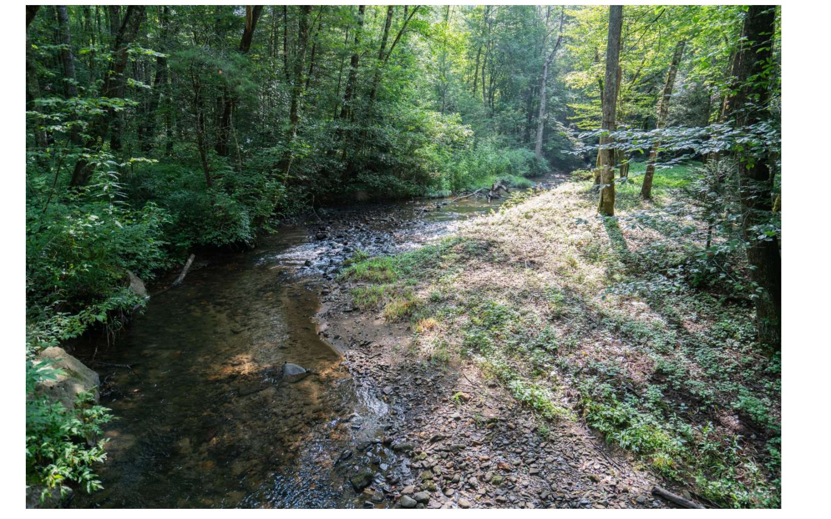 0 Greasy Creek Road Murphy, NC 28906 - Photo 4 of 4 Additional View