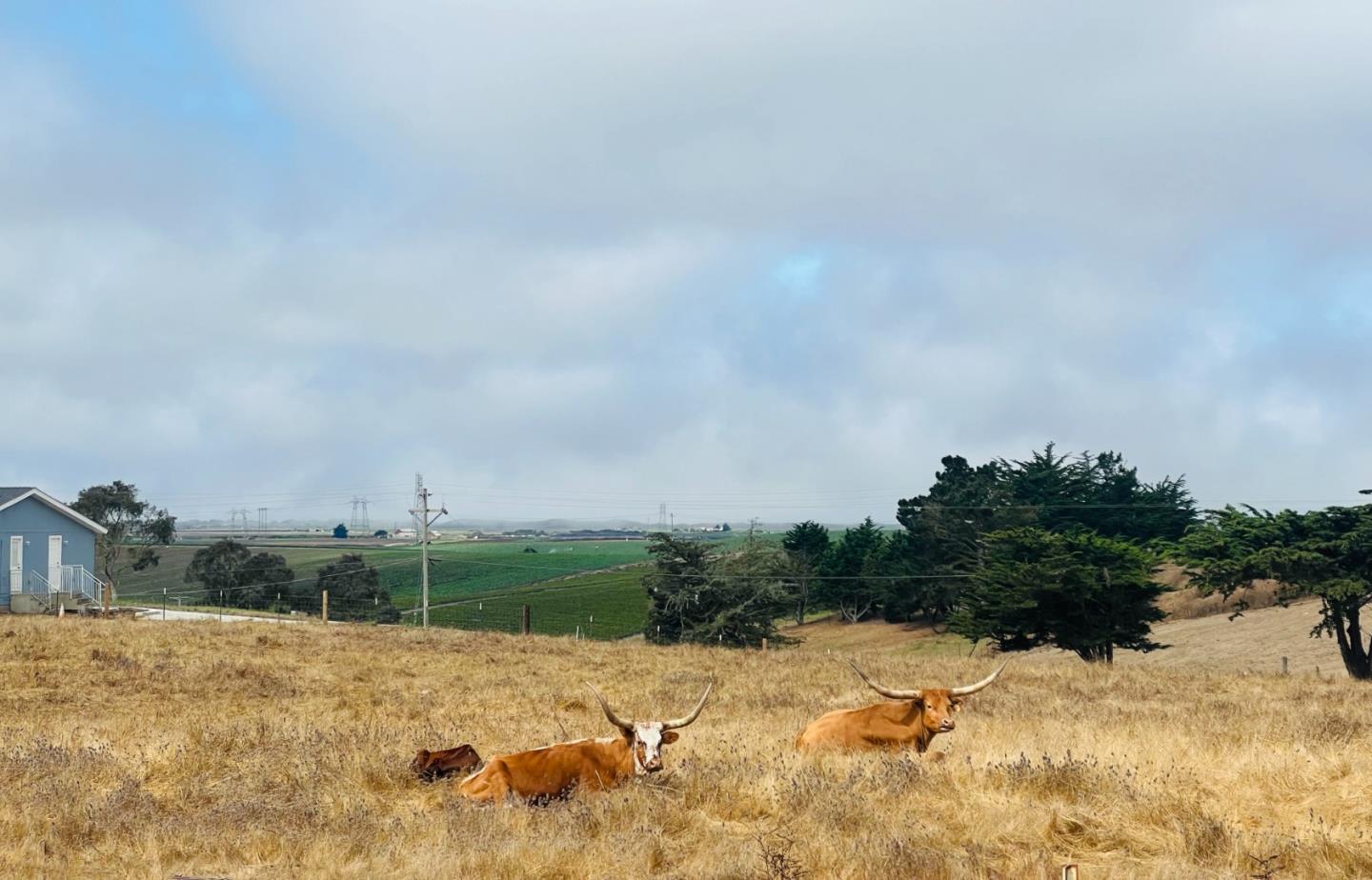800 Dolan Road, Unit 40 Moss Landing, CA 95039 - Photo 23 of 23