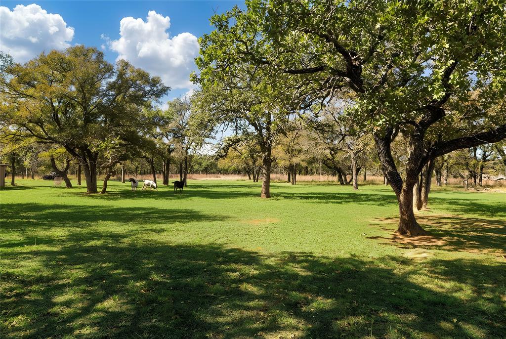 970 Live Oak Road Santo, TX 76472 - Photo 11 of 40 a view of green field
