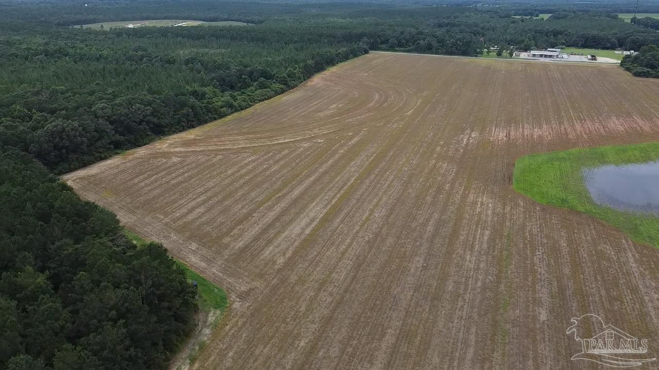 7600 Bratt Road Century, FL 32535 - Photo 36 of 41