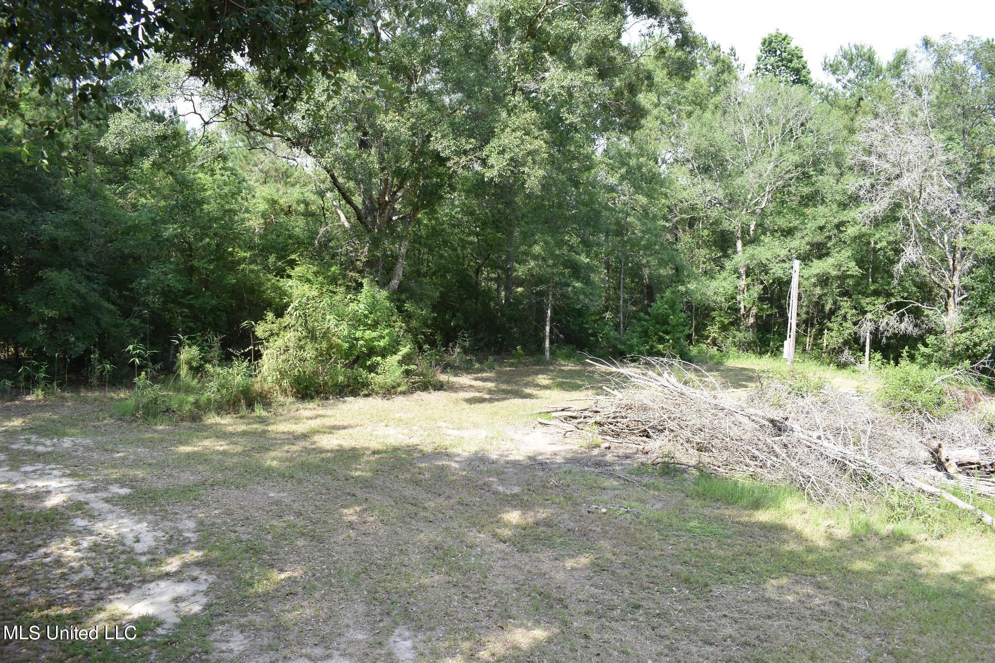 20110 Borzik Road Saucier, MS 39574 - Photo 6 of 7 Clearing closest to Henry Harley