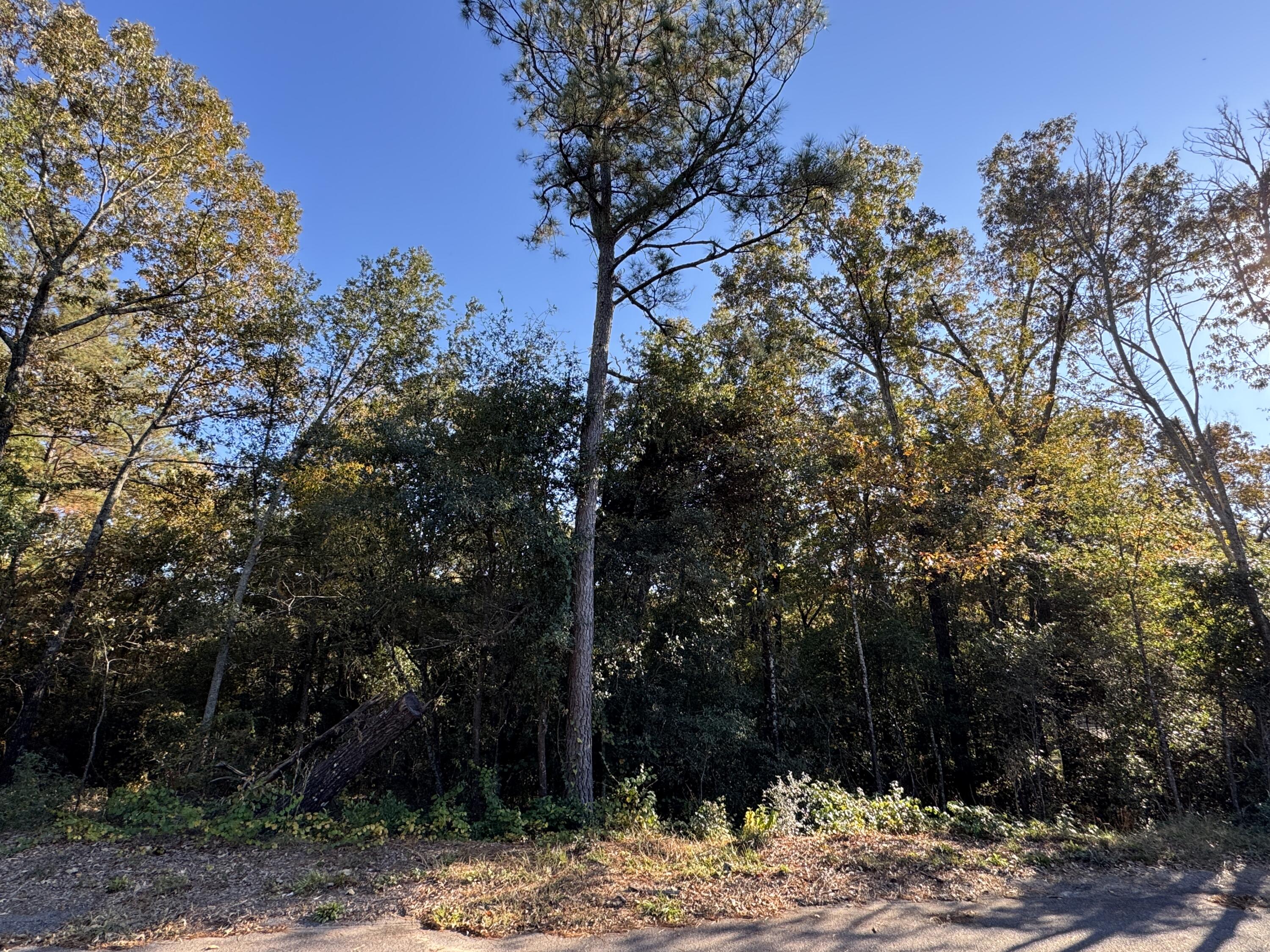 Lot #1 Charles Street Jackson, SC 29831 - Photo 4 of 12