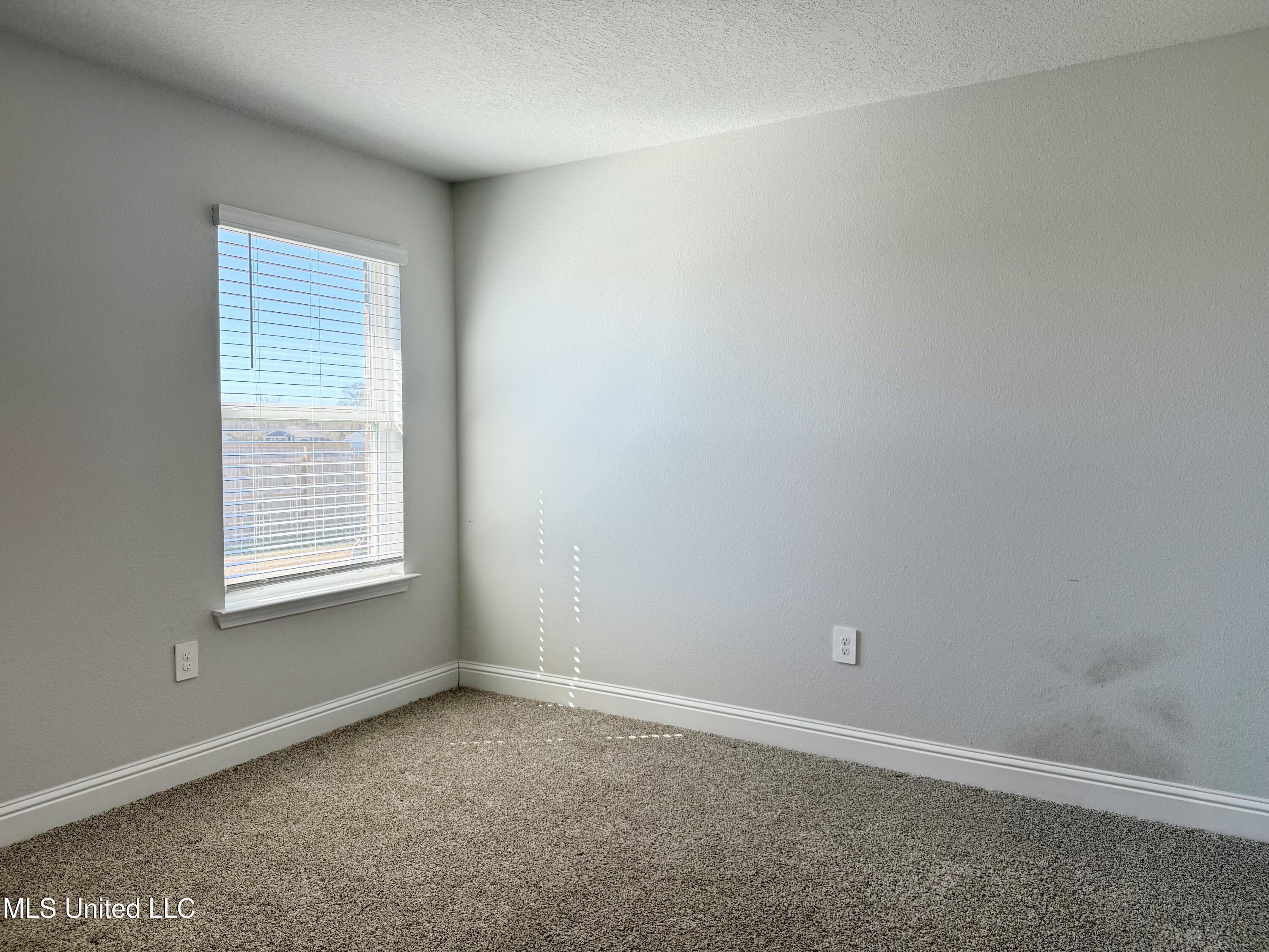 196 Mill Street Lucedale, MS 39452 - Photo 14 of 17 IMG_5117