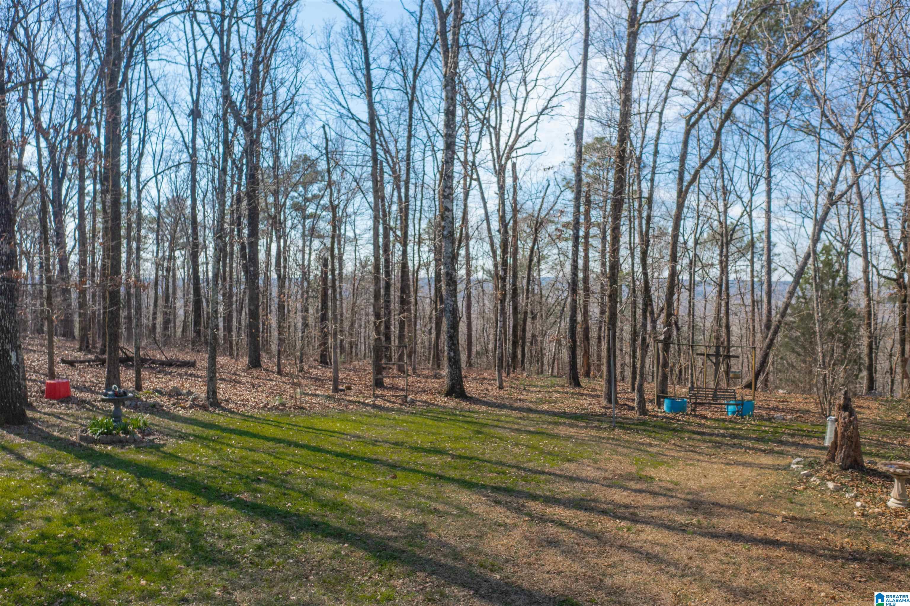 136 Chestnut Drive Alabaster, AL 35007 - Photo 45 of 46
