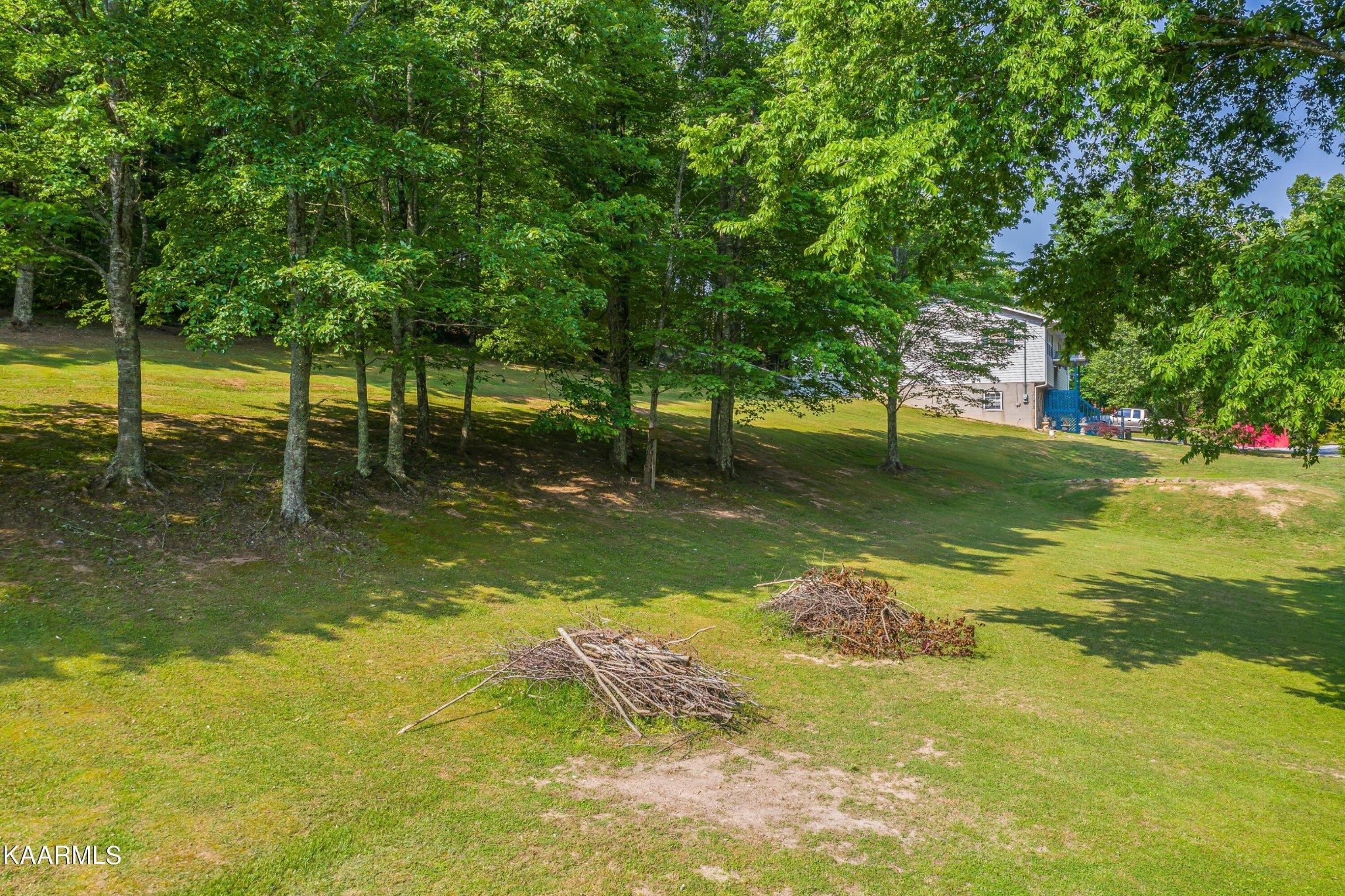 3226 Bogard Road Cosby, TN 37722 - Photo 21 of 35 a view of a trees in front of a house