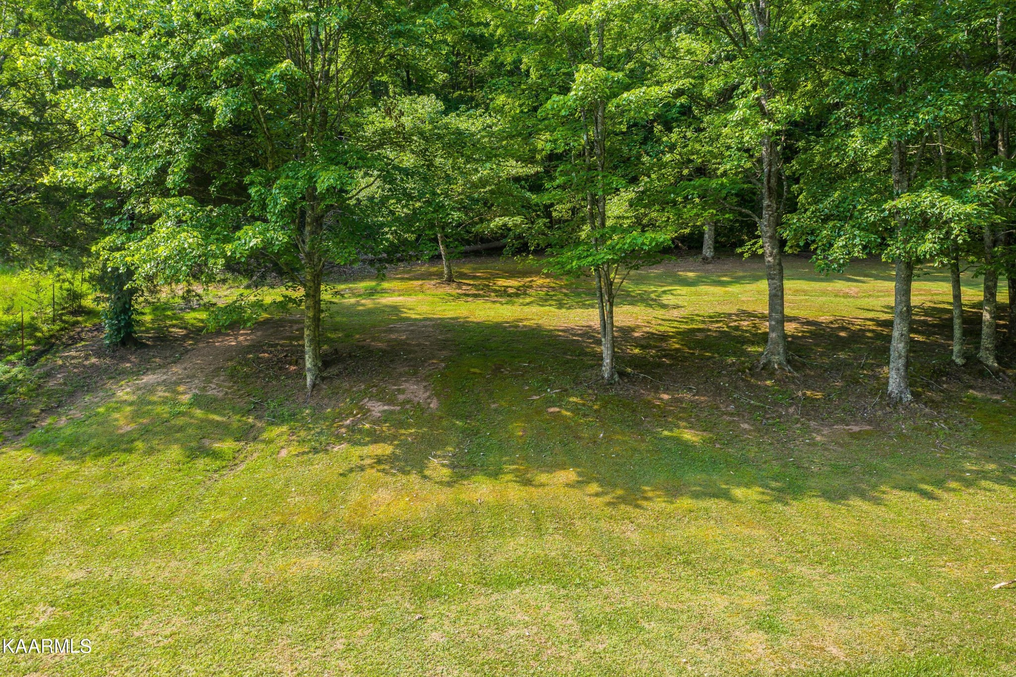 3226 Bogard Road Cosby, TN 37722 - Photo 25 of 35 a view of a yard with swimming pool