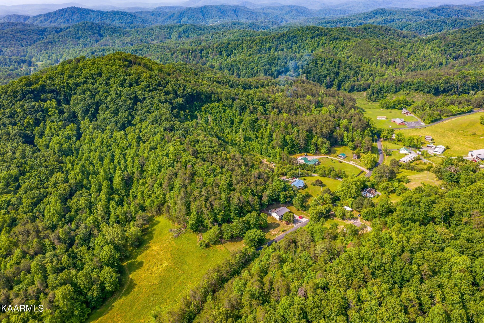 3226 Bogard Road Cosby, TN 37722 - Photo 32 of 35 a view of a lush green forest with lush green forest and mountain view