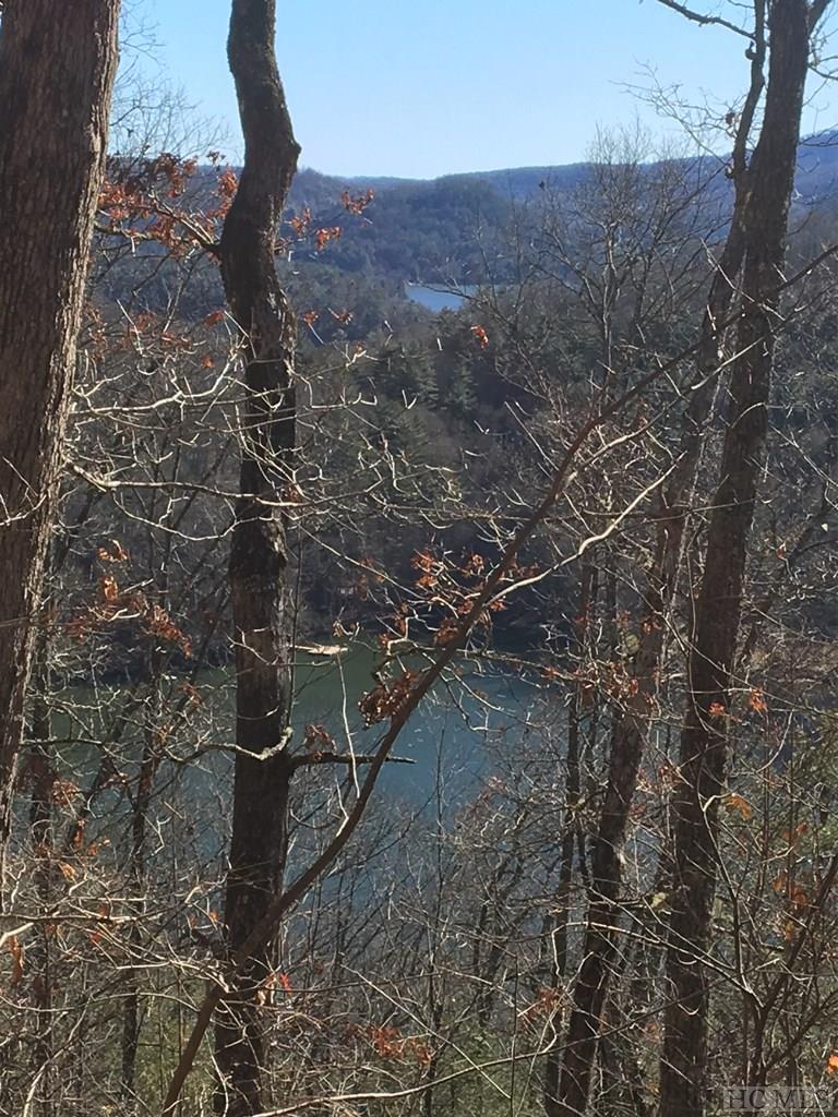 Tbd Strawberry Hill Road Cullowhee, NC 28723 - Photo 10 of 27 Gallery Image 10