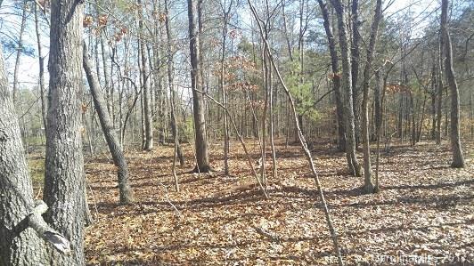 10 Ac Smith Road Clover, SC 29710 - Photo 1 of 8 a backyard of a house with lots of green space