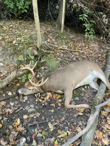 $1,285,000 | 2255 River Road, Hastings, MI 49058