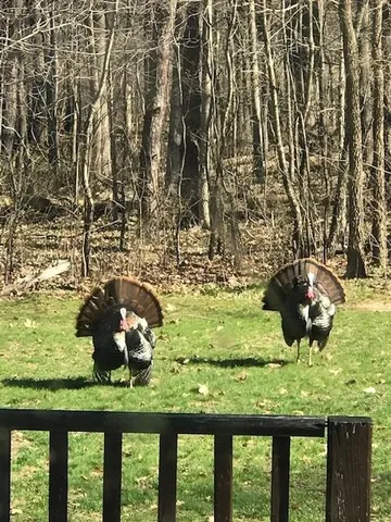 $1,285,000 | 2255 River Road, Hastings, MI 49058