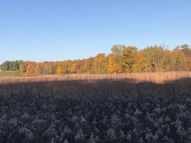 $1,285,000 | 2255 River Road, Hastings, MI 49058