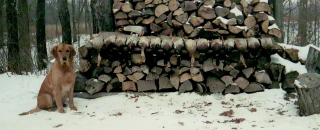 $1,285,000 | 2255 River Road, Hastings, MI 49058