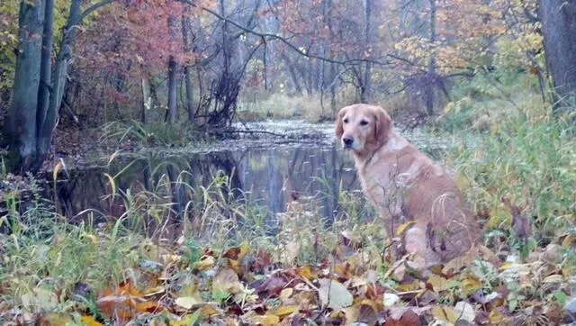 $1,285,000 | 2255 River Road, Hastings, MI 49058