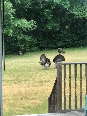 $1,285,000 | 2255 River Road, Hastings, MI 49058