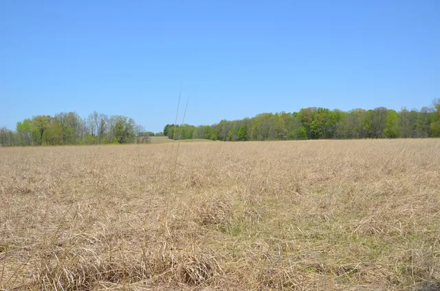 $1,285,000 | 2255 River Road, Hastings, MI 49058