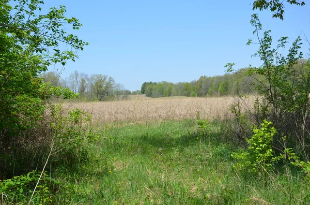 $1,285,000 | 2255 River Road, Hastings, MI 49058