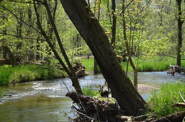 $1,285,000 | 2255 River Road, Hastings, MI 49058