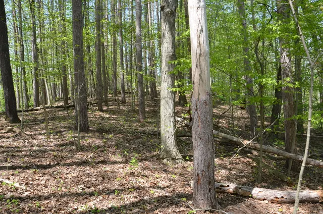 $1,285,000 | 2255 River Road, Hastings, MI 49058