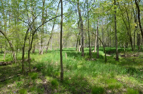 $1,285,000 | 2255 River Road, Hastings, MI 49058