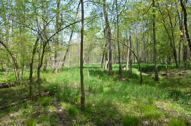 $1,285,000 | 2255 River Road, Hastings, MI 49058