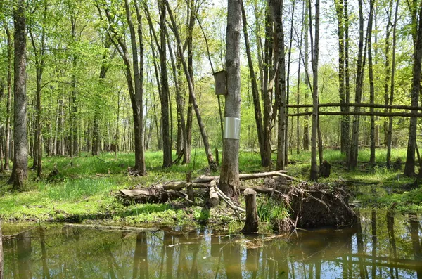 $1,285,000 | 2255 River Road, Hastings, MI 49058