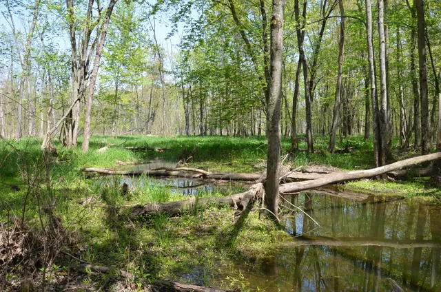 $1,285,000 | 2255 River Road, Hastings, MI 49058