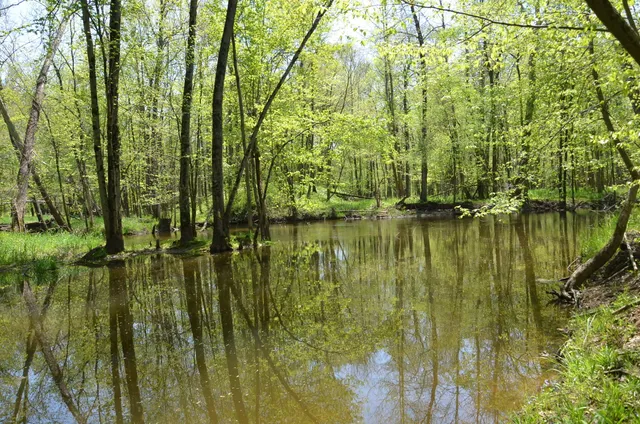 $1,285,000 | 2255 River Road, Hastings, MI 49058