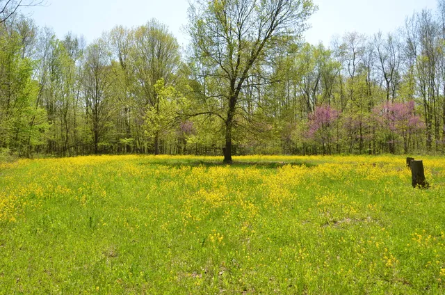 $1,285,000 | 2255 River Road, Hastings, MI 49058