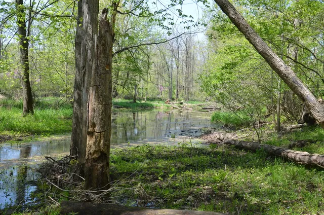 $1,285,000 | 2255 River Road, Hastings, MI 49058