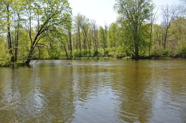 $1,285,000 | 2255 River Road, Hastings, MI 49058