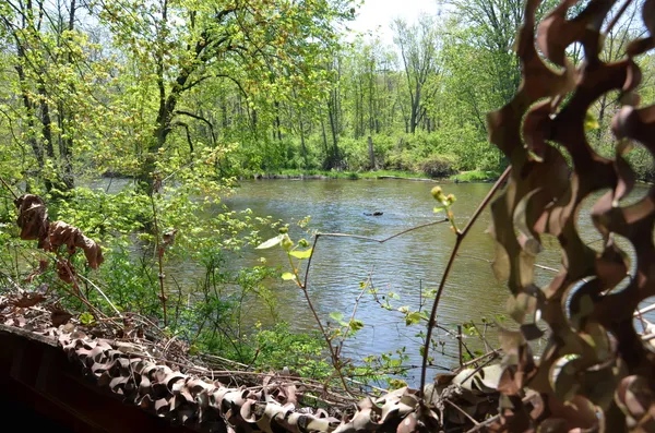 $1,285,000 | 2255 River Road, Hastings, MI 49058