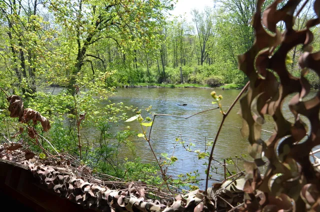 $1,285,000 | 2255 River Road, Hastings, MI 49058