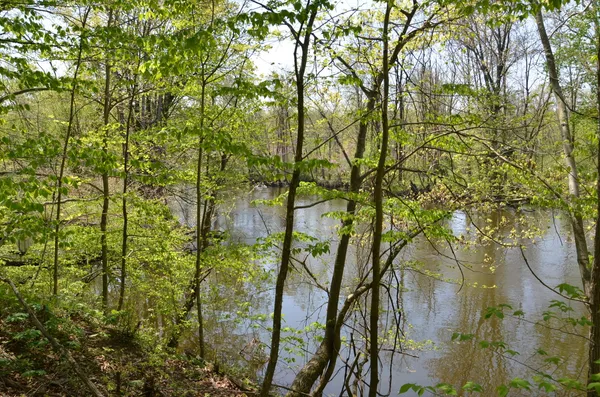 $1,285,000 | 2255 River Road, Hastings, MI 49058