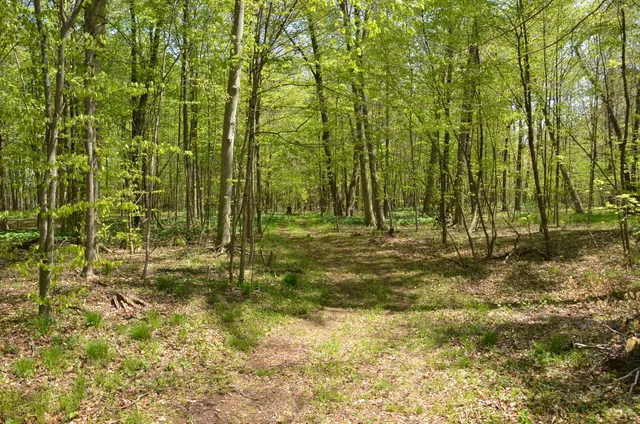 $1,285,000 | 2255 River Road, Hastings, MI 49058