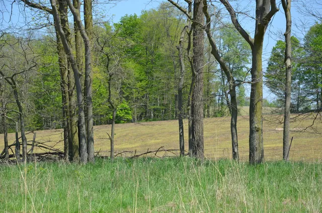 $1,285,000 | 2255 River Road, Hastings, MI 49058