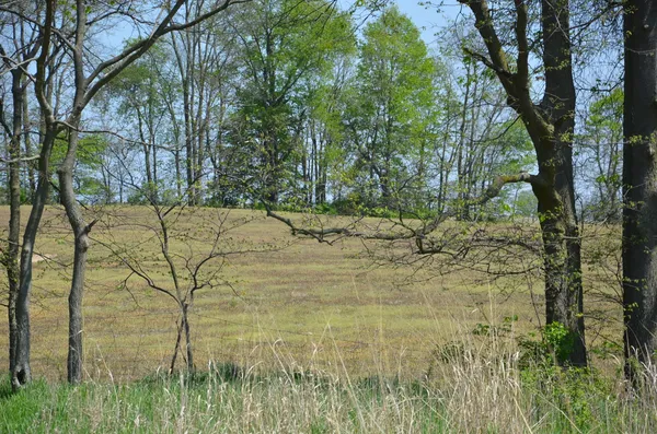 $1,285,000 | 2255 River Road, Hastings, MI 49058