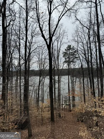 a view of three trees