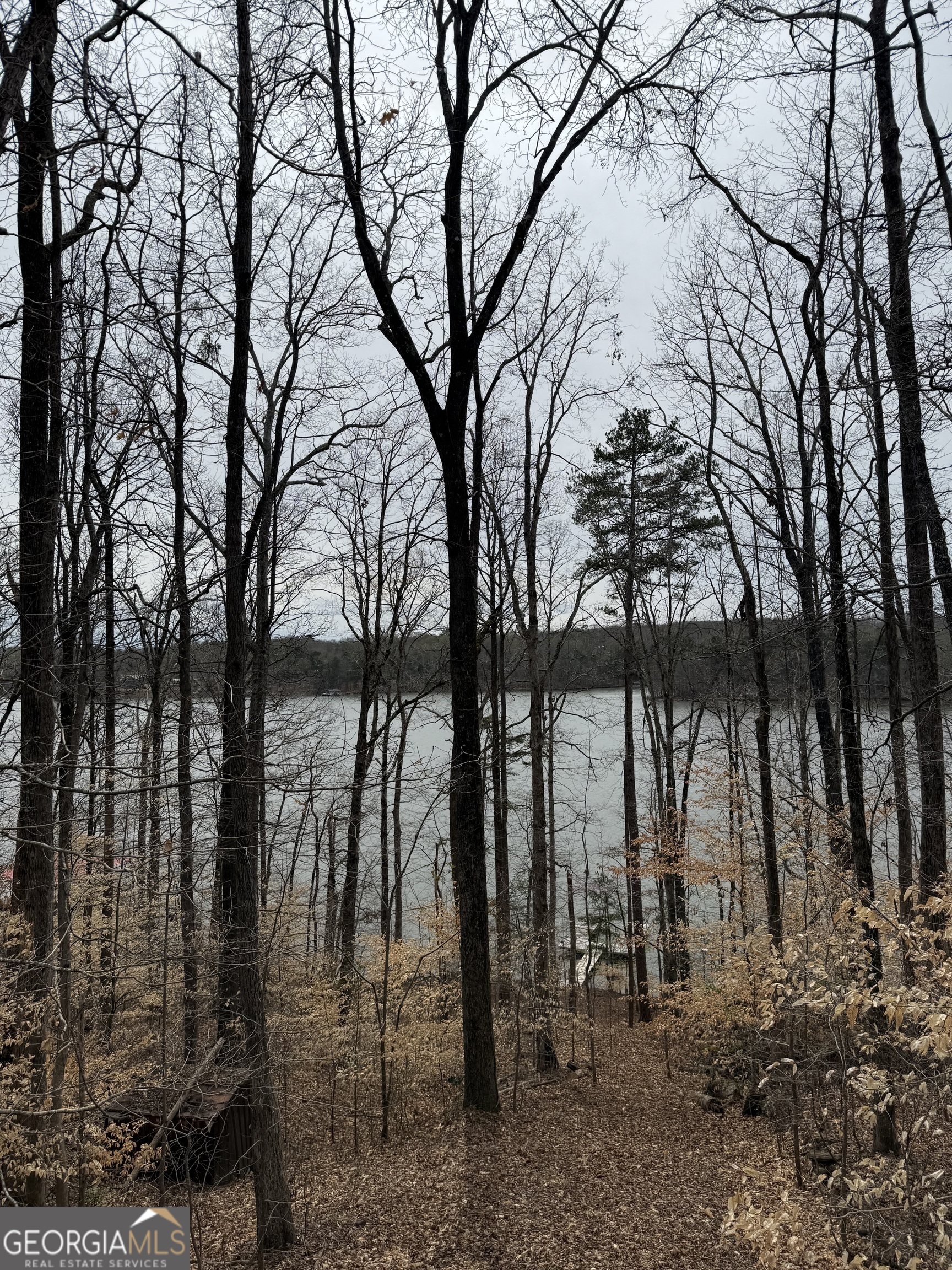 4637 Shoreline Lane Gainesville, GA 30506 - Photo 1 of 1 a view of three trees