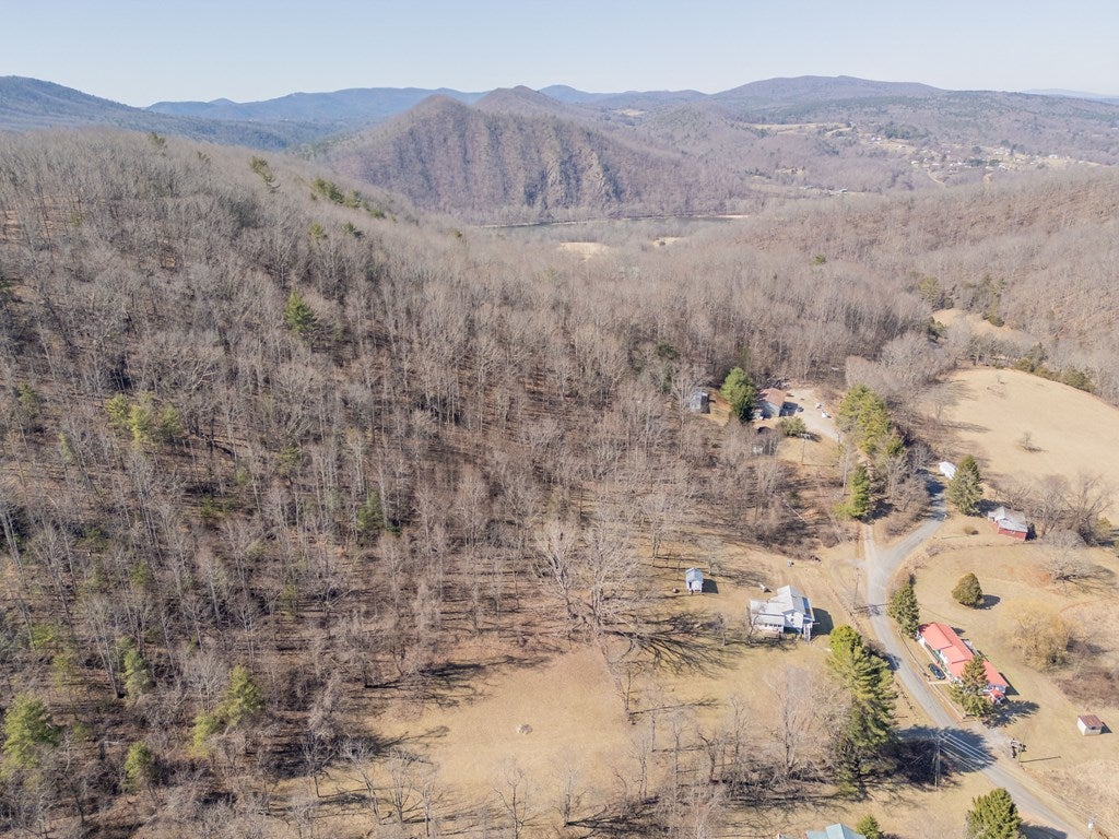 2161 Loafers Rest Road Austinville, VA 24312 - Photo 84 of 96 Gallery Image 84