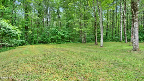 a view of a big house with garden and plants