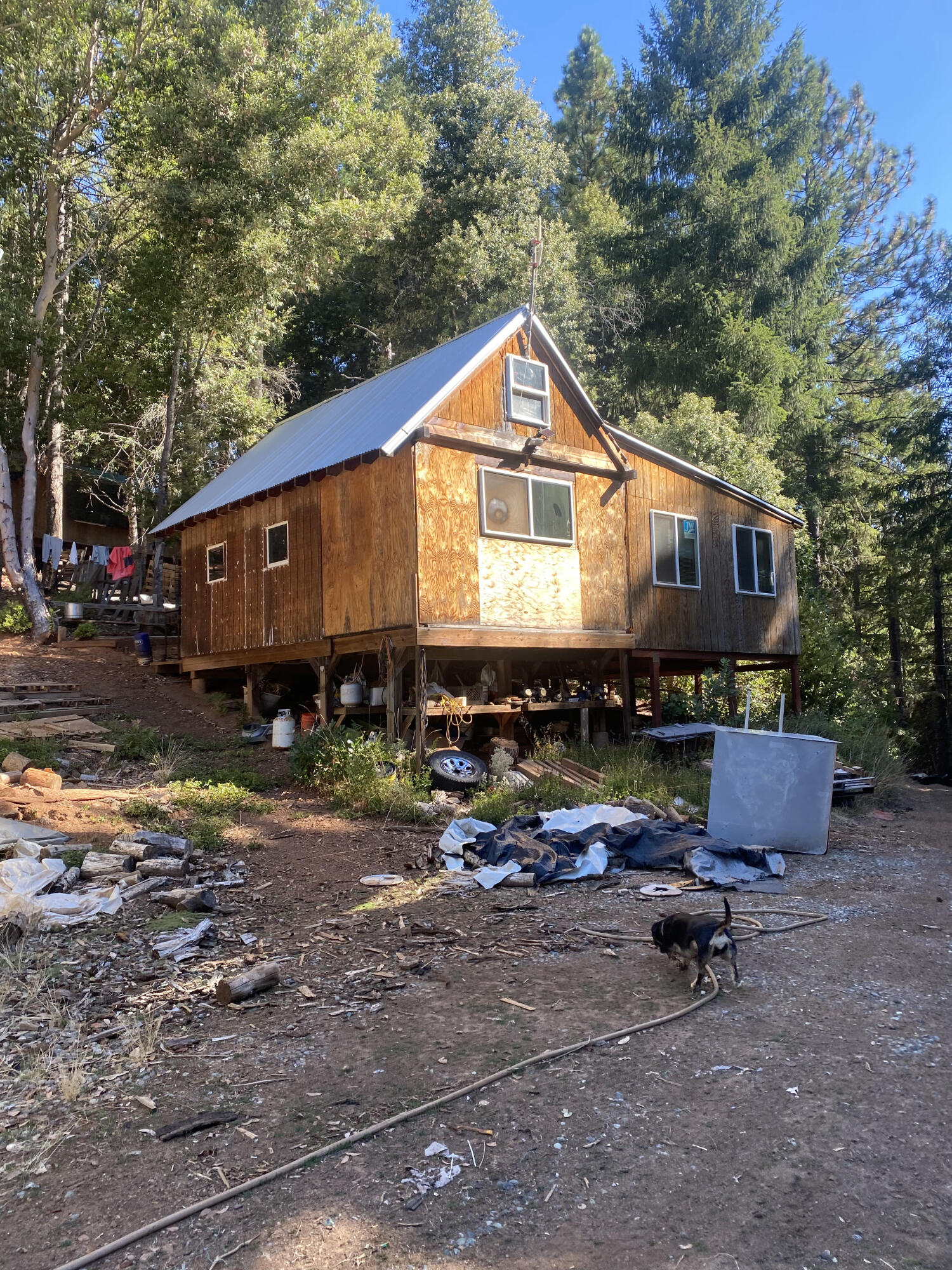 1255 Mcdonald Creek Road Burnt Ranch, CA 95527 - Photo 5 of 44