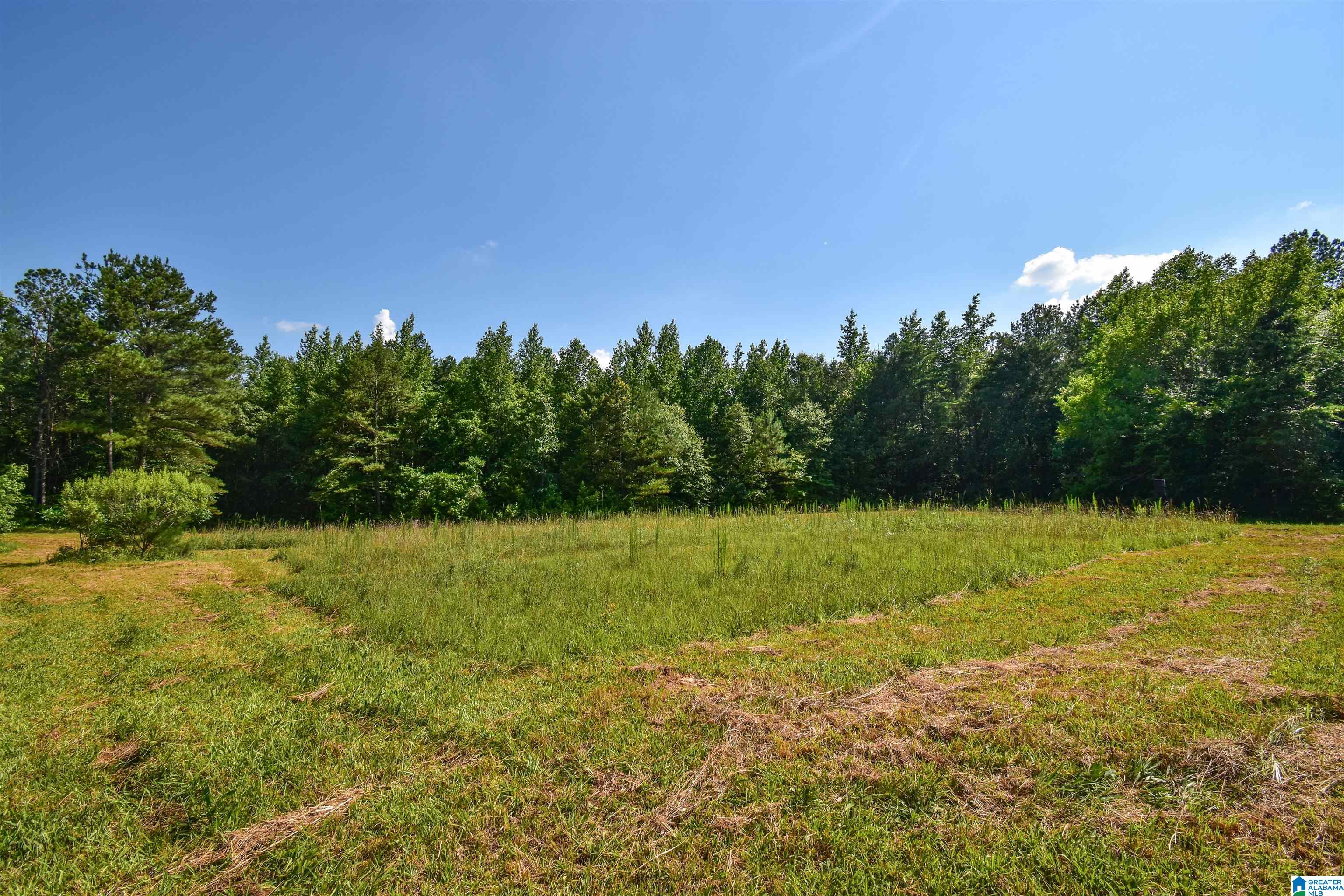 373 Myers Road Berry, AL 35546 - Photo 74 of 74