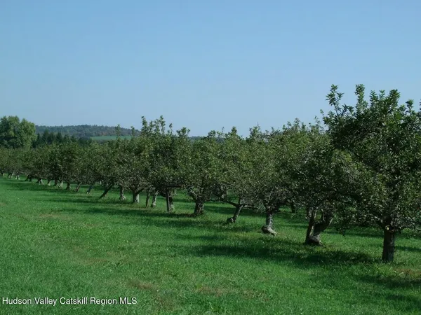 a view of a green field with trees in the background