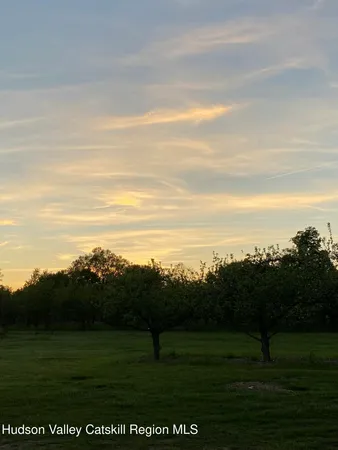 a view of grassy field with ocean
