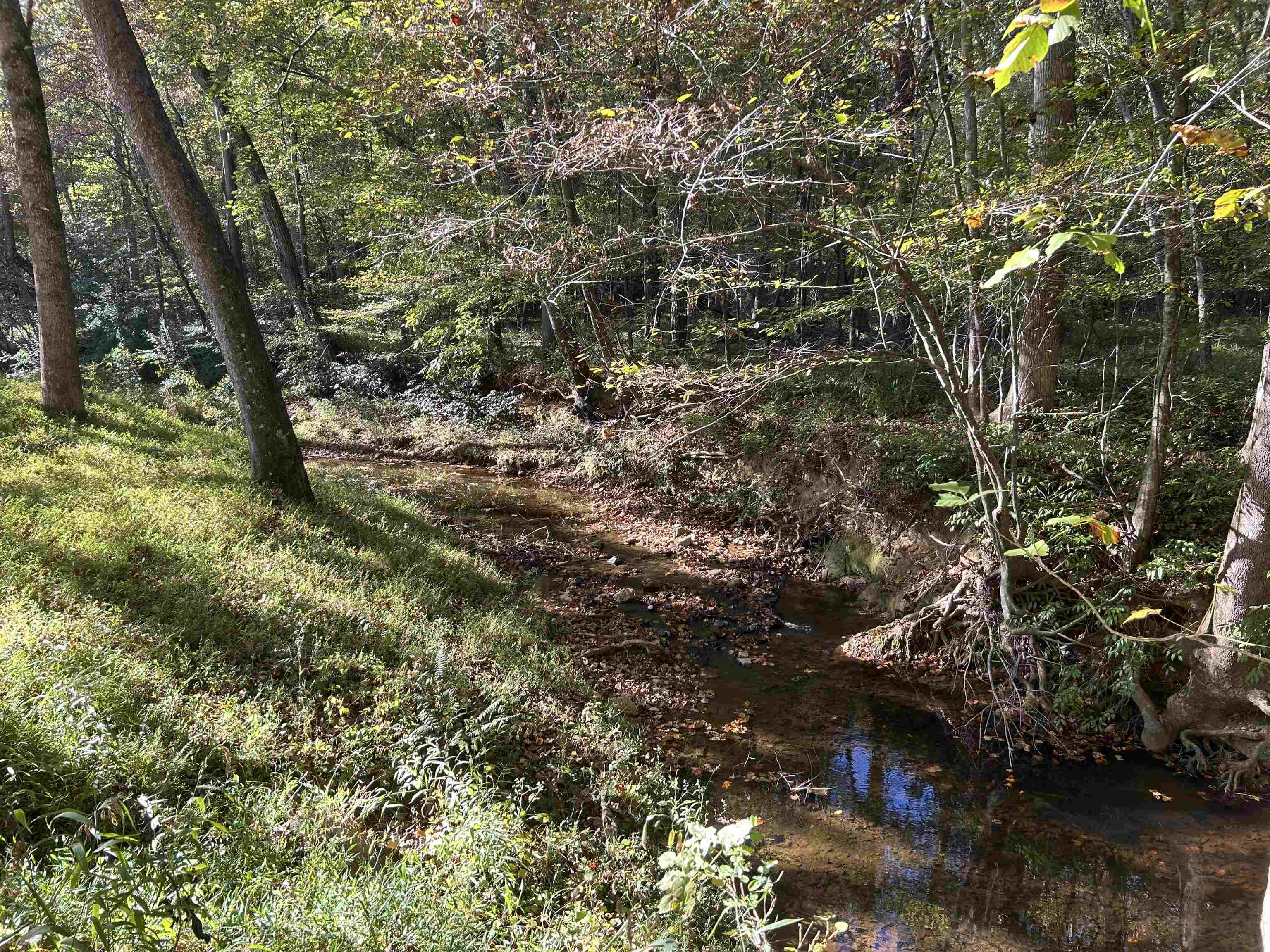 994 Chestnut Ridge Road Gaffney, SC 29340 - Photo 16 of 23